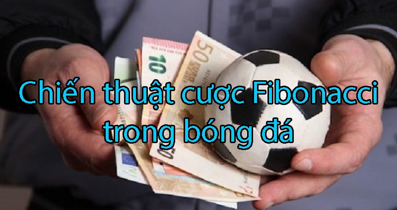 Chiến thuật Fibonacci trong bóng đá giúp bet thủ gia tăng hiệu quả tại MKsports 